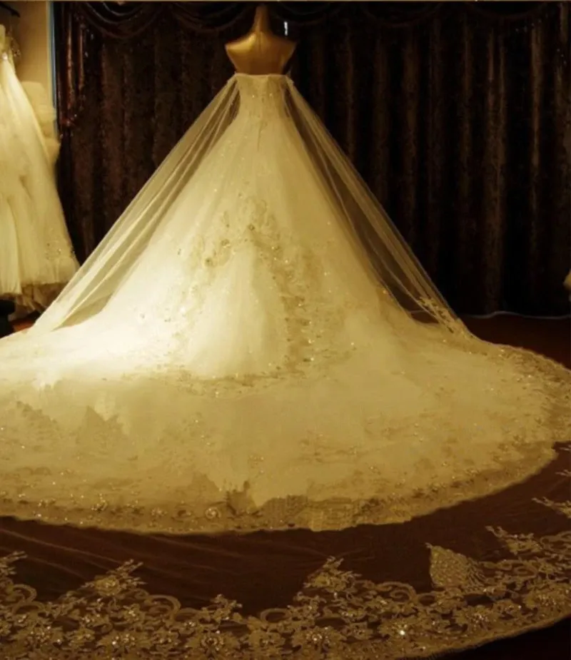 Anneprom Sweetheart Ball Gown Watteau Train Wedding Dress With Appliques Beading APW0029