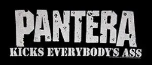 Pantera Kicks everybody Unisex Tee